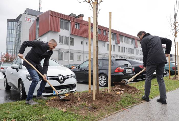 Skupina Elektro Gorenjska in Mestna občina Kranj z novim drevoredom krepita trajnostno preobrazbo mesta Kranj