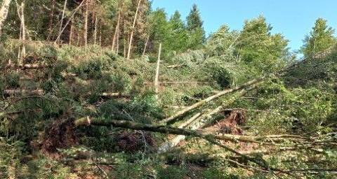 Vsem uporabnikom zagotovljena oskrba z elektriko