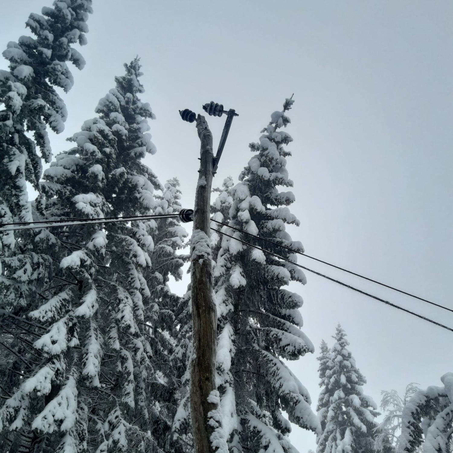 Na Gorenjskem so vsi odjemalci oskrbljeni z električno energijo, v prihodnjih dneh bo oskrba motena zaradi odprave napak na omrežju